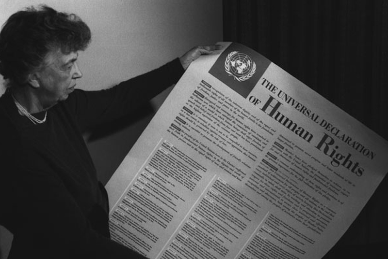 Il Primo Articolo Della Dichiarazione Universale Dei Diritti Umani